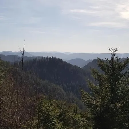 Teuchelwald מלון