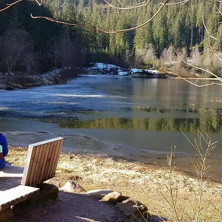 Teuchelwald פרוידנשטאדט