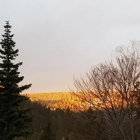 מלון Teuchelwald 4*