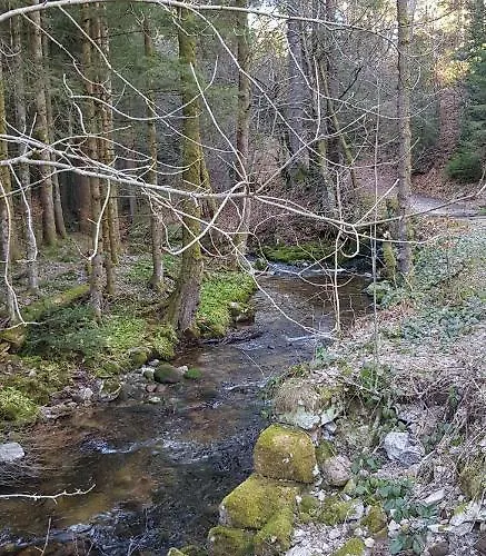 Teuchelwald Hotel 4*