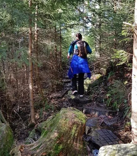 Teuchelwald Отель