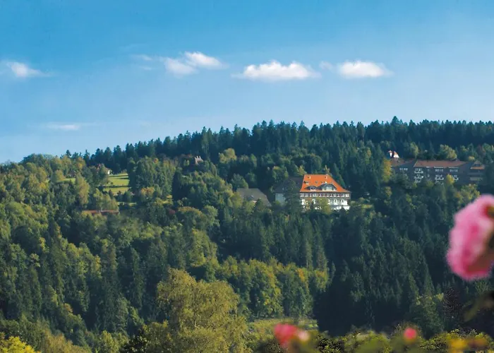 Hotel Teuchelwald Freudenstadt