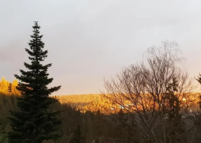 Szálloda Teuchelwald 4*